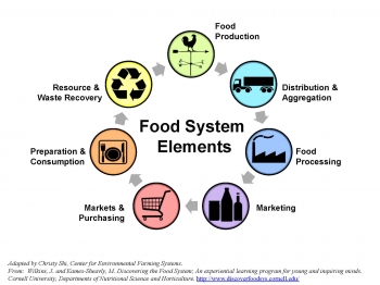 Covid-19 đang tác động như thế nào trong chuỗi cung ứng thực phẩm