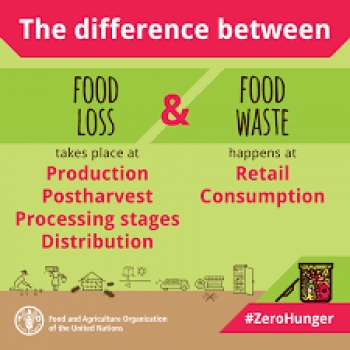 Mất thực phẩm và lãng phí thực phẩm là gì?